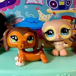 Littlest Pet Shop Pair Dachshund 675 Owl 674